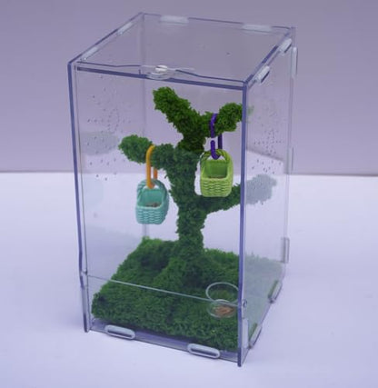 Jumping Spider Enclosure Kit with Acrylic Habitat, Feeding Tongs & Decor – 8.66"x5.12"x4.72" Ventilation Terrarium for Pet Spiders, Reptiles & Small Arboreal Pets