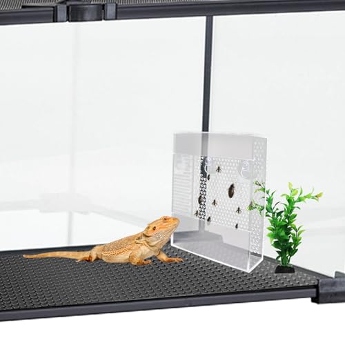 Acrylic Reptile Feeder with Suction Cups, Wall-Mounted Bearded Dragon Food Bowl, Tank Accessories for Bearded Dragon, Gecko, Chameleon, Frog