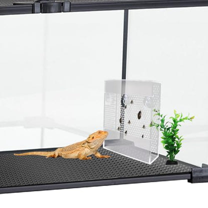 Acrylic Reptile Feeder with Suction Cups, Wall-Mounted Bearded Dragon Food Bowl, Tank Accessories for Bearded Dragon, Gecko, Chameleon, Frog