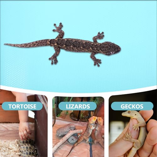 Abaodam Reptile Substrate Mat Soft Carpet for Bearded Dragon Gecko Lizard Tortoise Tank Liner Non-Absorbent Washable Terrarium Bedding Accessory