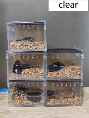 Black Acrylic Spider Feeding Box, Small Insect Breeding Enclosure, Semi-Concealed Cage with Sliding Web Lid, Hand-Held Observation Terrarium for Small Reptiles, Jumping Spiders Enclosure and Scorpions