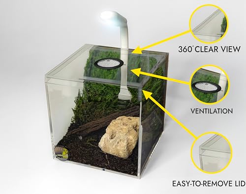 4″ Ventilated Acrylic Vivarium Terrarium Enclosure Clear Cubic Bug Habitat for Spiders, Isopods, Insects, Reptiles (Black Vent) - color: Black