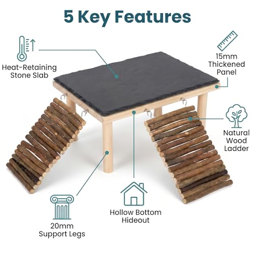 Bearded Dragon Basking Platform, Natural Slate Reptile Basking Rock with Wooden Climbing Ramp, Terrarium Habitat Decor for Lizard, Leopard Gecko, Tortoise, Snake (Large with 2 Wooden Climbing Ramp) - size: Large with 2 Wooden Climbing Ramp