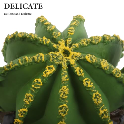3pcs Realistic Cactus and Iron Tree Model Set, Miniature Simulation Plastic Plants for Reptile Terrarium Habitat Decor, Desert Landscape Accessories for Pet Tanks