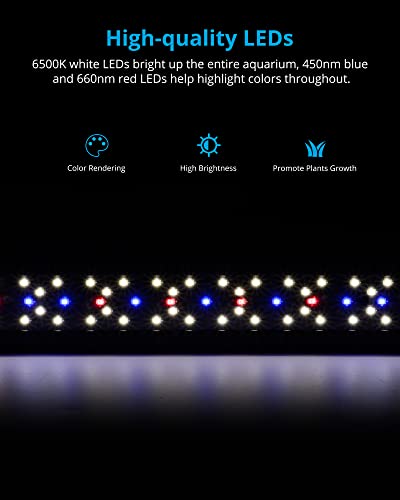 NICREW SkyLED Plus Aquarium Plant Light, Freshwater Fish Tank Light with Ramp Up and Dim Down, Spectrum Adjustable and Lighting Schedule Programmable with Controller, 36-48 Inches, 36 Watts - size: 36 - 48 in