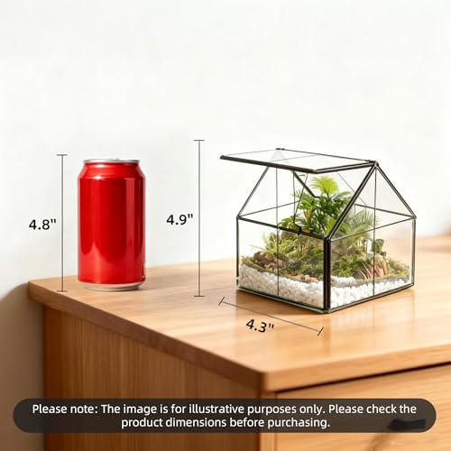 Ferrisland Glass Plant Terrarium Container Wardian Case Indoor Small Succulent Terrarium Planter w/Door for Tabletop Decor DIY - 4.9"x4.3"x4.3" - size: 4.3"L x 4.3"W x 4.9"H