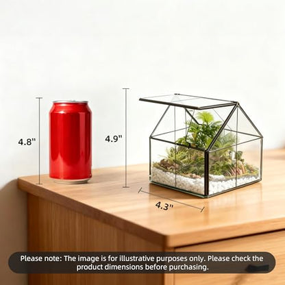 Ferrisland Glass Plant Terrarium Container Wardian Case Indoor Small Succulent Terrarium Planter w/Door for Tabletop Decor DIY - 4.9"x4.3"x4.3" - size: 4.3"L x 4.3"W x 4.9"H