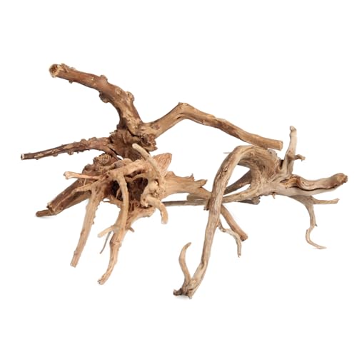 emours Driftwood Branches Reptiles Aquarium Decoration Assorted Size,(5.5-8 inch in Length),4 Pieces (Spider Wood)