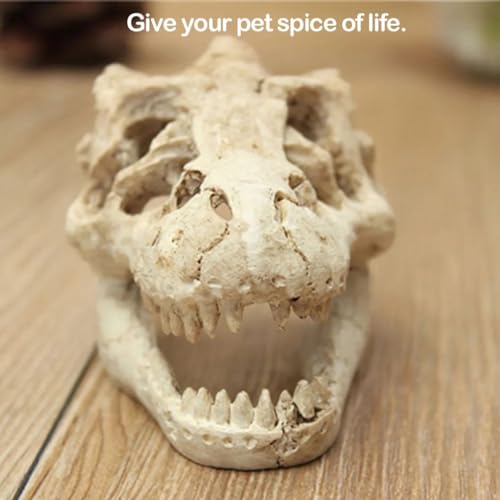 HEPBAK 1 Pcs Dragon Resin Aquarium/Terrarium Decoration Crocodile Skull for Fish Tank Resin Ornament Decorate Your Aquarium, White