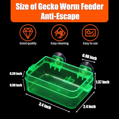 Reptile Feeder Chameleon Bowl 2 Pcs Anti-Escape Food Dish Bowl with Suction Cup for Chameleon Iguana Lizard Reptile Food and Water Feeding (Green, S)