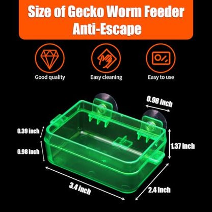 Reptile Feeder Chameleon Bowl 2 Pcs Anti-Escape Food Dish Bowl with Suction Cup for Chameleon Iguana Lizard Reptile Food and Water Feeding (Green, S)