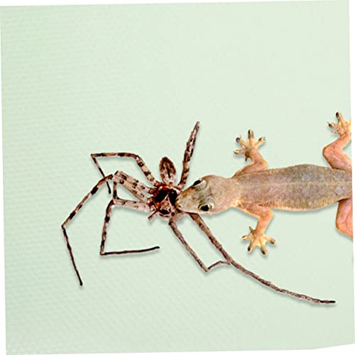 BESPORTBLE Reptile Carpet Mat for Terrarium Eva Non-Slip Bedding for Bearded Dragons Snakes and Lizards Easy Clean Reptile Cage Liner Light Green - color: Light Green