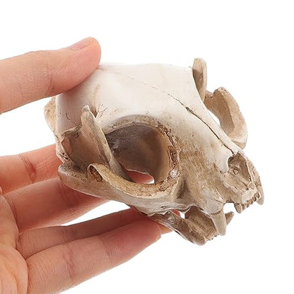 ABOOFAN Cat Skeleton Resin Model Fortune Cat Skull Figurine for Fish Tank Decoration Unique Handmade Aquarium Decor Safe for Fish for Collectibles and Teaching
