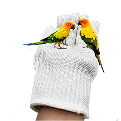 alfyng Bird Training Anti-Bite Parrot Chewing Protective Gloves, Small Animal Handling Gloves for Parrotlets Cockatiels Finch Macaw (1 Pair White) - color: White
