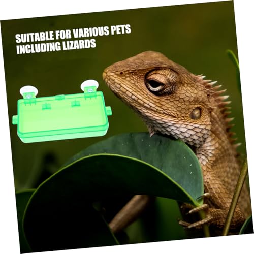 BESPORTBLE Reptile Feeding Bowl with Suction Cup Gecko and Lizard Dish for Food and Water Easy to Clean and Install for Snake and Reptile Tanks Small Green