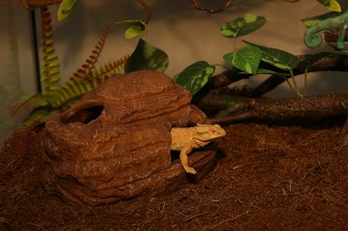 AQUA KT Reptile Hide and Cave Hideout for Leopard Crested Gecko Ball Python Lizard Bearded Dragon Snake Amphibians Hiding Place Terrarium Habitat Decoration