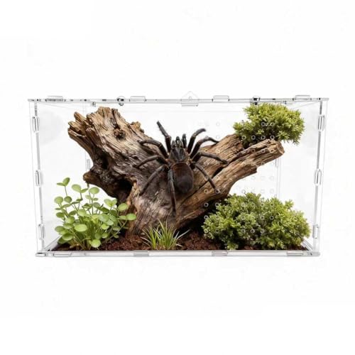 The Ultimate Small Animal Terrarium 7.9" x 5.9" x 11.8": A Versatile Reptile Serving as a Complete Starter Tank for a Wide Range of Species Including Lizards, Geckos, Frogs, Crabs, and Spiders