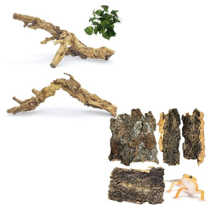 VCEPJH 2 Pack Reptile Wood Branches, Snake Climbing Branch and Cork Bark for Reptiles, 4 Pcs Natural Cork Flats for Snakes Spiders Bearded Dragons