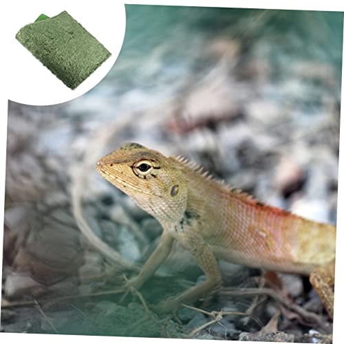 TOYANDONA 2Pcs Moss Reptile Carpet Substrate Liner for Terrarium Durable and Washable Habitat Mat for Snakes Lizards Turtles and Amphibians for Bearded Dragon and Crested Gecko