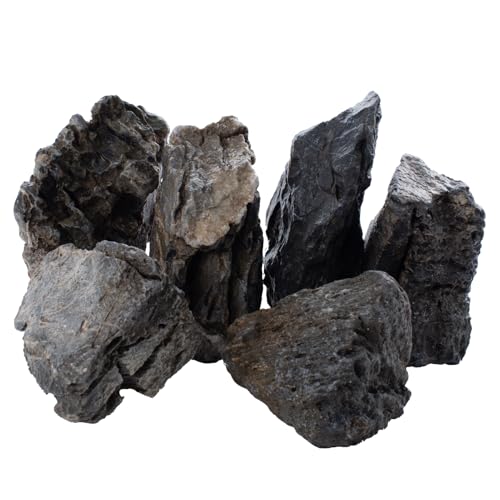 Aquarium Rocks Seiryu Stones Natural Hardscape Rocks for Aquariums, Fish Tank Decorations, Bonsai, Terrariums, Aquascaping, Landscaping, Reptile Paludariums and Gardens-5lb - color: Seiryu Stone, size: 5Lb (2-7 inch)