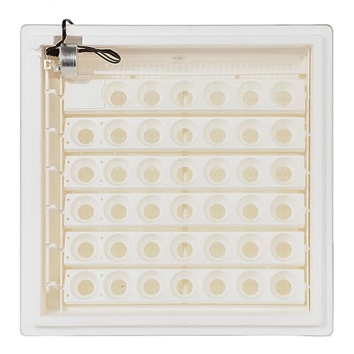 Farm Innovators 41 Egg Digital Circulated Air Incubator w/Auto Turning & Humidity Control - Automatic Incubating Machine for Hatching Chicken Eggs and Poultry Farming