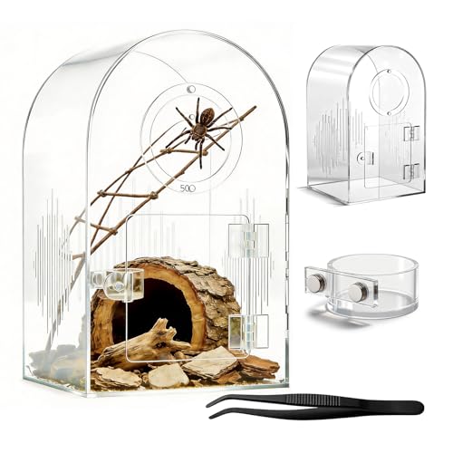 Acrylic Jumping Spider Enclosure, Clear Spider Enclosure Kit with Ventilation, Pre-Assembled Habitat for Jumping Spiders, Tarantula, Mantis, Insects