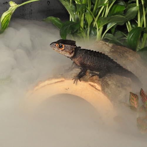Habistat Reptile Humidifier 4L – Reptile Fogger with 5ft Hose, LED Digital Touch Buttons, Built-In Timer and Quiet Mist for Indoor Tanks, Terrarium Fogger for Enclosure Humidity Control Systems