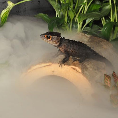 Habistat Reptile Humidifier 4L – Reptile Fogger with 5ft Hose, LED Digital Touch Buttons, Built-In Timer and Quiet Mist for Indoor Tanks, Terrarium Fogger for Enclosure Humidity Control Systems