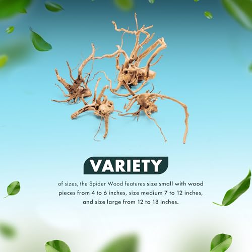 SubstrateSource Natural Aquarium Driftwood for Fish Tanks, Terrarium, Reptile Habitats, Freshwater Aquatic Decor - Small to Large Pieces (Spiderwood (Small) 4-6", 1 Piece) - size: 1 Piece