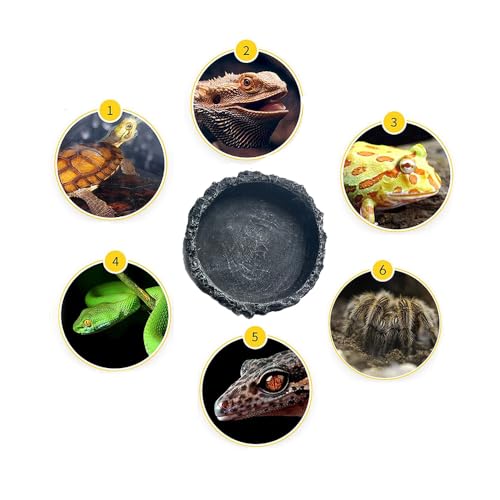 2PCS Reptile Feeder Food and Water Dish with Feeding Tweezers Tong Reptile Water Dish Food Bowl Set for Leopard Gecko Lizard Frog (Style 1)