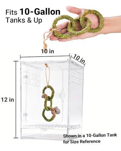 Hermit Crab Climbing Toy, Hanging Moss Climbing Rings for Hermit Crab Tank Accessories, 11 in Crabitat Decor with Rope, Textured Hermit Crab Climbing Accessory for Small Hermit Crabs