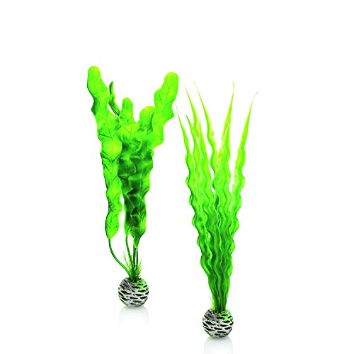 biOrb Medium Green Plant Set, Colorful and Durable Aquarium Decorations - color: Green, size: Medium