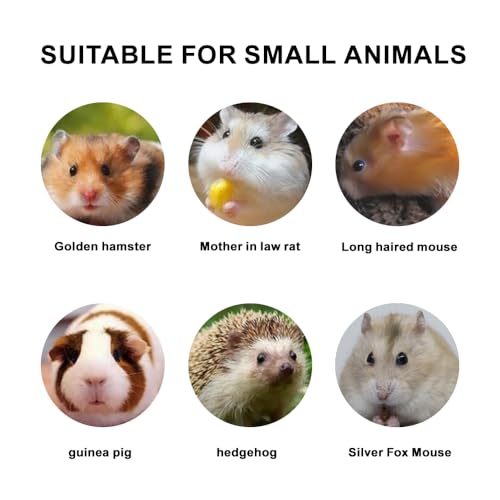 Hamster Bath Sand,Sand Hamsters Bedding,SilicaSand,Dust Free Sand for Hamster Mice or Small Animals (1.1, lb)