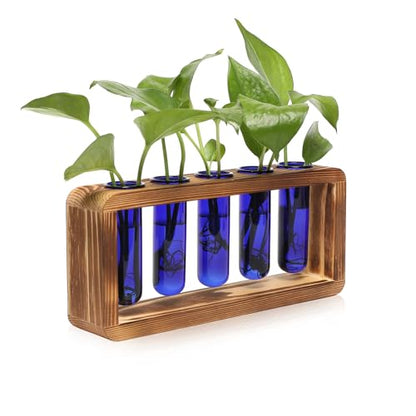 Glass Plant Propagation Station with 5 Test Tubes Colorful Planter Vase Birthday Gifts for Women in Wooden Stand - color: Blue