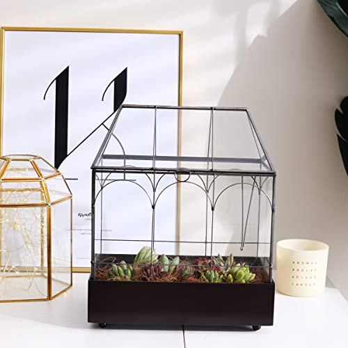 Large 11.5" Tall Plant Terrarium Glass – Glass Greenhouse Terrarium with Lid and Tray,Indoor Tabletop Orchid Succulent Cacti Terrarium