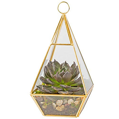D'Eco Glass Gold Pyramid Centerpiece (5x5x10) - Hanging Planter Terrarium - Spring Home & Wedding Decor - Fill with Succulents, Cacti, Air Plants, Moss, Flowers for Plant Lovers