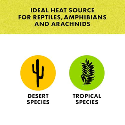 Zilla Heat Mat, Terrarium Heater for Reptiles, Snakes (Ball Pythons, Corn Snakes), Leopard Geckos, Tortoises, Amphibians and Arachnids, Small, Fits 10-20 Gallon, 8 Watt - size: Small