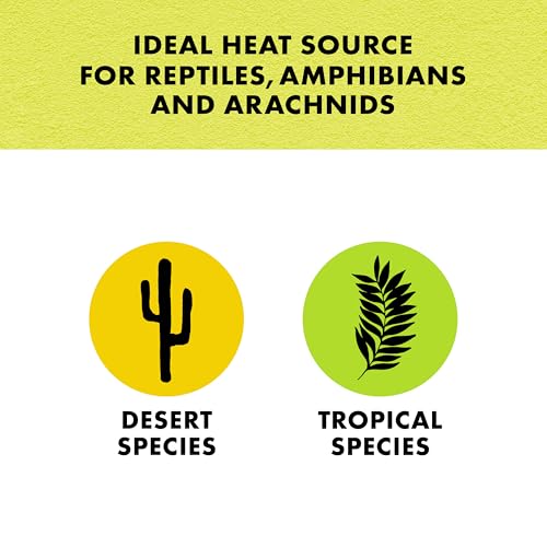 Zilla Heat Mat, Terrarium Heater for Reptiles, Snakes (Ball Pythons, Corn Snakes), Leopard Geckos, Tortoises, Amphibians and Arachnids, Small, Fits 10-20 Gallon, 8 Watt - size: Small