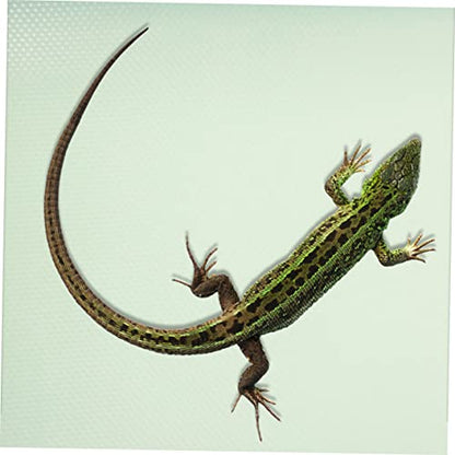POPETPOP Reptile Carpet Bedding Mat for Terrarium Non Slip Substrate Liner for Leopard Gecko Lizard Snake Turtle Eva Material for Comfortable Pet Experience