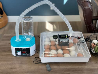 HumidiKit™ with Digital Hygrostat - Auto Humidifier with 1L Water Bottle - Humidity Controller for All Types of Eggs - Automatic Humidity System Compatible with Most Incubators
