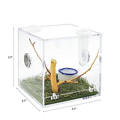 Acrylic Critter Keeper Jumping Spider Enclosure Snail Container House Accessories Reptile Terrarium Insect Enclosure Tank Snail Spider Habitat Cage Reptile Isopods Lizards Roach Feeding Box