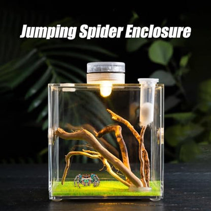 Reptile Growth Terrarium - Acrylic Jumping Spider Clear Container, Clearer View Small Pet Enclosure, Practical Convenient Spacious Habitat, Durable Housing Design Versatile Use | for Snails Lizards Be - color: Aqua Blue