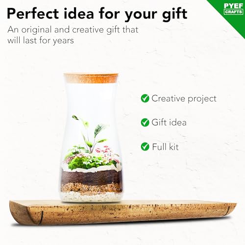 Terrarium Kit, Succulents & Indoor Plants Set DIY | Starter Pack for Any Plant – Build Your Own Ecosystem – Supplies for 64 fl oz Jar or Pot – (Jar & Plants Not Included)