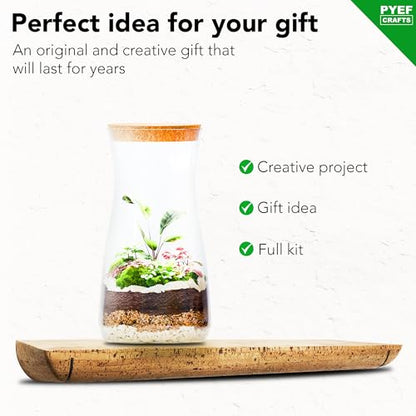 Terrarium Kit, Succulents & Indoor Plants Set DIY | Starter Pack for Any Plant – Build Your Own Ecosystem – Supplies for 64 fl oz Jar or Pot – (Jar & Plants Not Included)