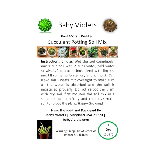 Succulent & Cactus Plant Potting Soil Mix Peat Moss & Perlite, 1 Quart (1qt 4 Level Cups) - size: 1qt