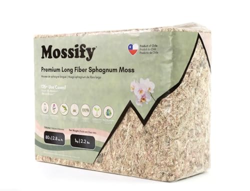 Mossify Premium Sphagnum Moss for Plants 1kg, 2.2 lbs - Long Fiber Moss for Plants Indoor, Orchids, Terrariums, Gardening, Reptiles – Moisture Plant Moss for Propagation, Soil & Habitat Bedding - size: 1kg (2.2 lbs)