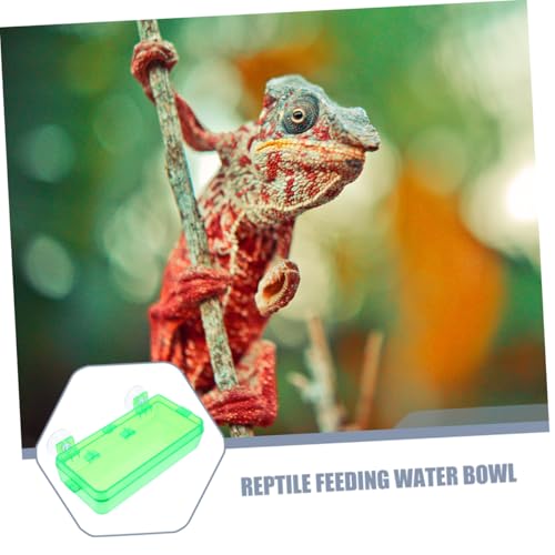 Toddmomy Secure Reptile Water Basin Insect Feeder for Bearded Dragon Gecko Snake Easy to Install Suction Cup Bowl - color: Light Green, size: 9.00X6.00X3.50CM