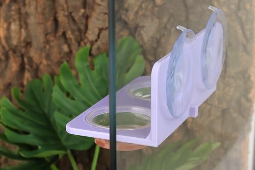 Crested Gecko Feeding Ledge with 10PCS Gecko Food Water Dish - Purple - color: Purple