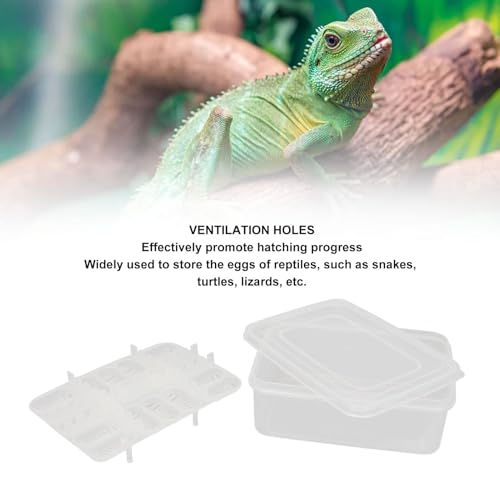 16 Grids Reptile Breeding Box,Reptile Incubator Professional Plastic Reptile Breeding Box Hatching Incubator for Amphibians Snakes Lizards Turtles Tortoises Geckos