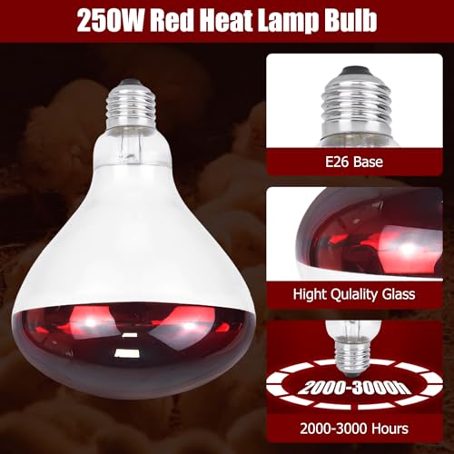250W Infrared Heat Lamp for Chicken, Red Heat Light Bulb R125 2 Pack, Heat Lamp Bulb for Chick Croop, Reptiles, Pets, Food - size: 2 Piece